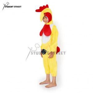 Hen Costume