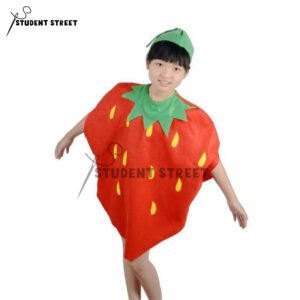Strawberry Costume