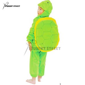 Turtle Costume