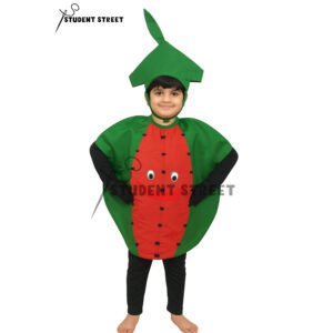 Watermelon Costume